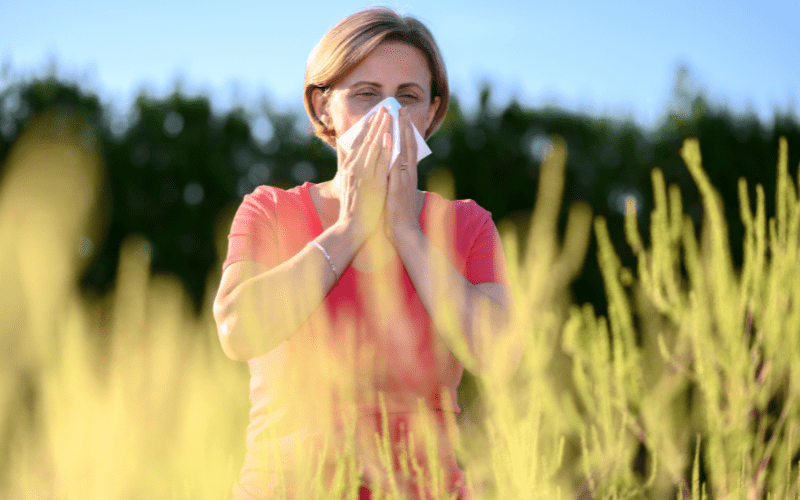Pollen Allergies