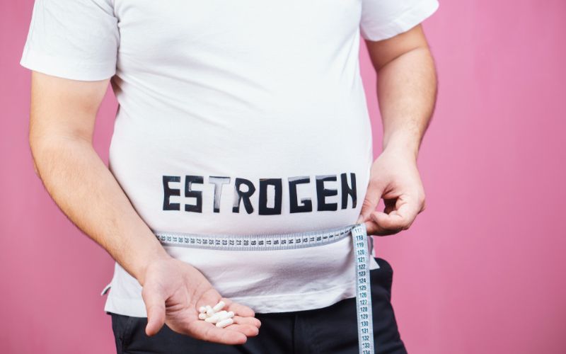 High Estrogen Levels High Estrogen Levels