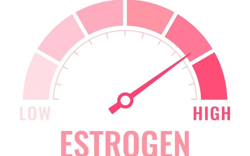 High Estrogen Levels