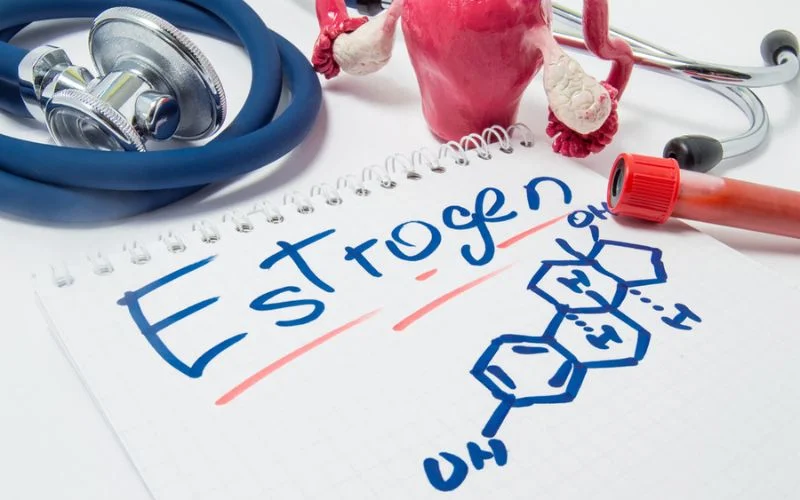 High Estrogen