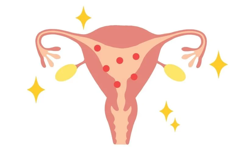 Estrogen Levels
