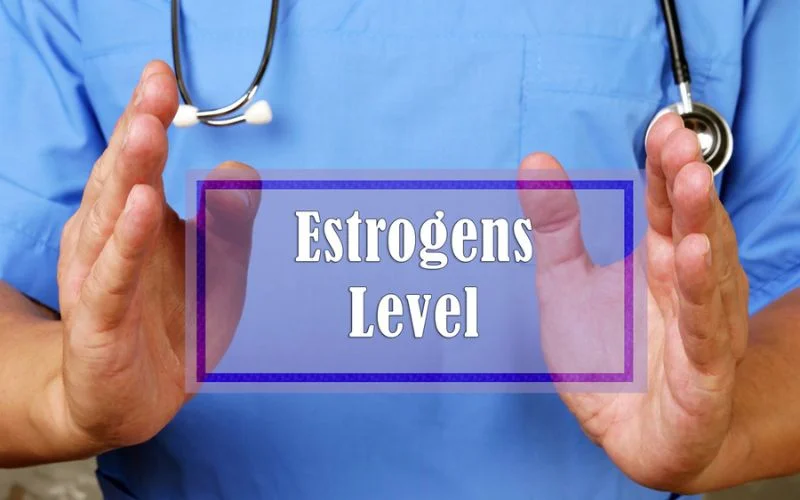 Estrogen