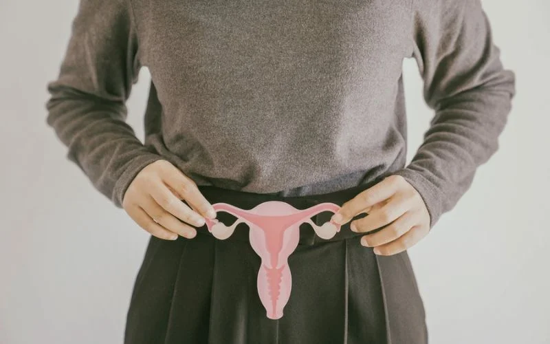 reproductive