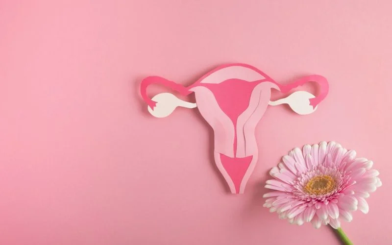 High Estrogen Levels